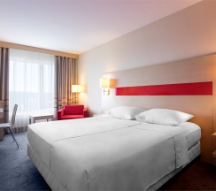 Бизнес в Cosmos Murmansk Hotel