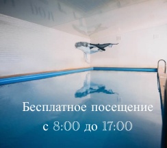 Двухместный номер Студио в Крыжовник