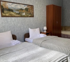 Трехместный стандарт эконом в Старая деревня