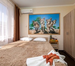 Двухместный номер с 1 кроватью комфорт 7 - в Счастливый слон