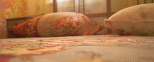 Стандартный номер в Пегас