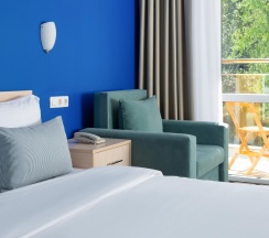 Номер стандарт с 1 двуспальной кроватью в Moreleto