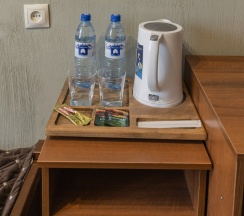 Двухместный номер с 2 односпальными кроватями в на Пушкина