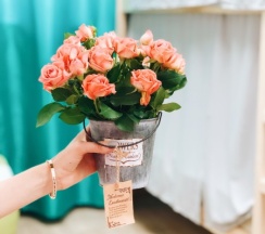 Отдельный номер Стандарт с собственным умывальником в Ваш миниотель