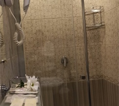 Двухместный номер (стандартный двухместный номер с кроватью king-size) в Spa-hotel Plaza