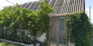 Должанская: Гостевой дом Country house on Chapaeva