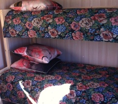 Family House в Териберка тур