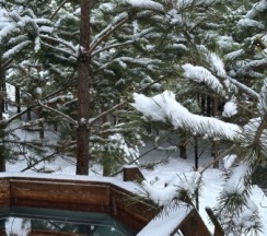 Норвегия в BamBoo Village