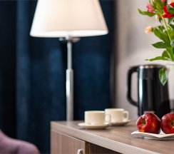 Полулюкс с 1 двуспальной кроватью в Мёд