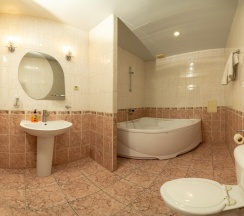 Номер люкс с 1 двуспальной кроватью в Москва