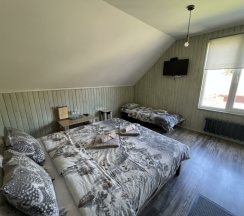 Двухместный стандарт с дополнительным местом в Пихтовый бор