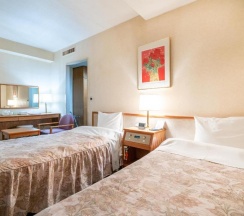 Двухместный номер Standard 2 отдельные кровати в Tabist Hotel Mercury Asakusabashi