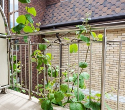 Трехместный номер Комфорт с балконом в Сюзэн