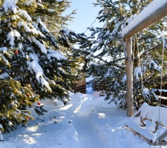 Дом в Евразия