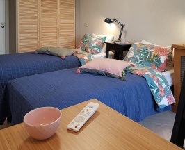 Двухместный номер Economy с красивым видом из окна 2 отдельные кровати в Соколов