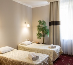 Двухместный стандарт в Аристоль