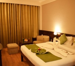 Номер Standard в Treebo Park Grace