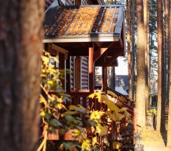 номер люкс №21,22 мансарда в Green village
