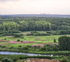 Квартира в Апартаменты на Университетская Набережная 🏡97а, кв 135, эт 16, подъезд 1