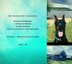 «Сонный залив» с сауной и купелью 85м2 в Сонный залив