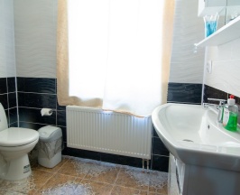 Номер Business в Хвойный