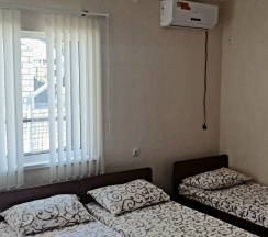 Стандарт семейный в Мята