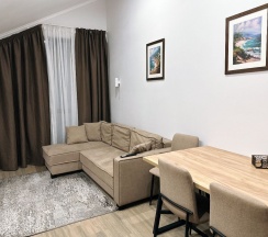 Апартаменты двухкомнатные четырехместные 2-х комнатные (делюкс) c балконом или без в Polikariya