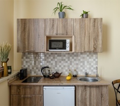 Путешественник в Agent flat