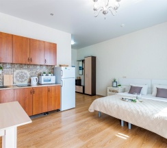 Апартаменты  для двоих на Белинского, 30 в скандинавском стиле (65) в Степаненков