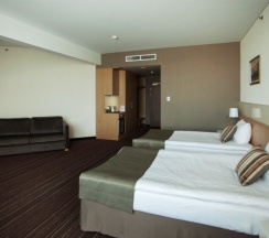 Трёхместный номер Standard в Victoria&SPA