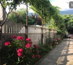 Люкс в Apsny family