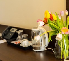 Одноместный номер Executive в Grami Hotel Sofia