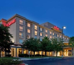 Одноместный номер Standard в Austin Marriott South