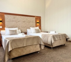 Стандарт с раздельными кроватями в Bridge hotel