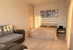 Апартаменты Квартира Rooms 55 в Омской области