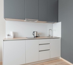 1-комнатные апартаменты стандарт Санкт-Петербург, Заозерная, к3, стр1 в Art Apart