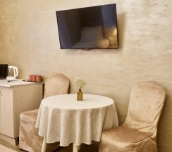1-комнатные апартаменты стандарт в Versale hotel (Версаль)