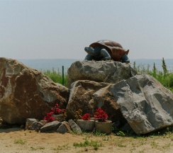 Аврора в Лазурная черепаха