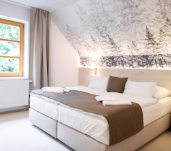 Четырёхместный Senior люкс Deluxe в Amenity Resort Spindleruv Mlyn