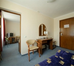 Двухместный Люкс Малый двуспальная кровать в Гостиница Спутник