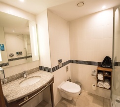 Номер стандарт с 2 односпальными кроватями в Hampton by Hilton Ufa