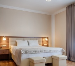 Стандартный номер с 1 двуспальной кроватью в Парк-отель