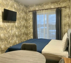 Номер-студия в Михайловское угодье