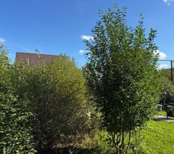 Коттедж улучшенный в Маруся House