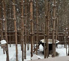 Просторная дача  с 2мя раздельными спальнями с панорамными окнами и сибирским банным чаном" в Дача на горе-море