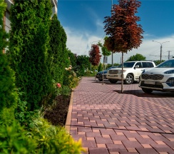 СТАНДАРТ в Tesoro