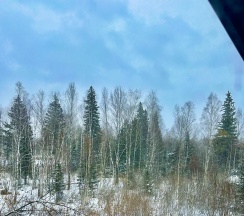 Коттедж стандарт в Хаски