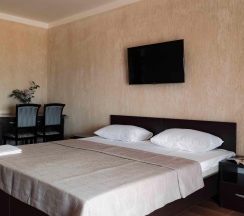 2-местный 1-комнатный номер люкс улучшенный в Ника