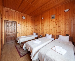 3-местный номер стандарт (с завтраком) в Kaskad house