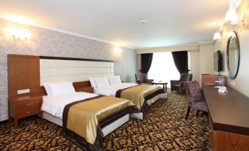 Трёхместный люкс в Arya Hotel Business Deluxe